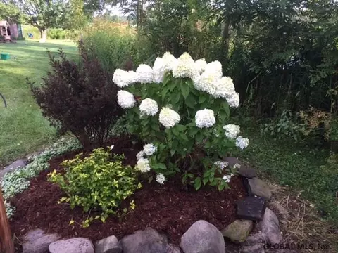 56 Panting Rd, Berne, NY 12023 photo 60