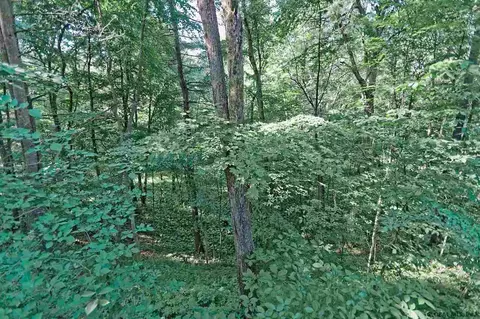 20 Aspen, Slingerlands, NY 12159 photo 38