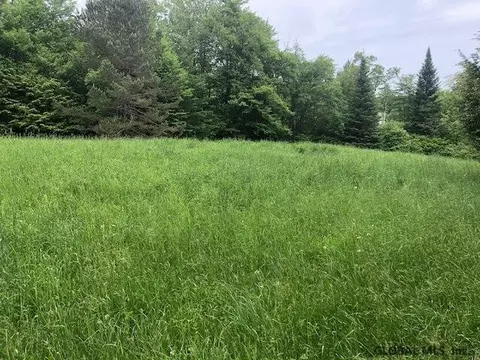287 Tamarack Rd, Summit, NY 12175 photo 4
