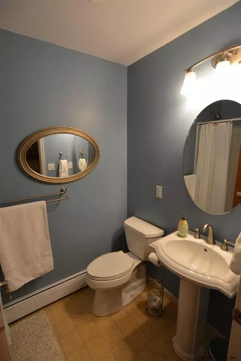 318 Johnny Cake Hill Rd, Westerlo, NY 12193 photo 13