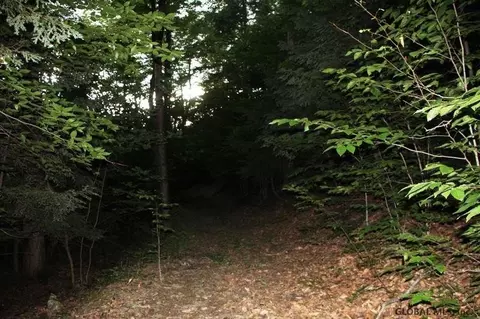 143 Decker Rd, Summit, NY 12175 photo 4