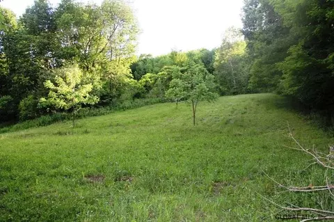 143 Decker Rd, Summit, NY 12175 photo 12
