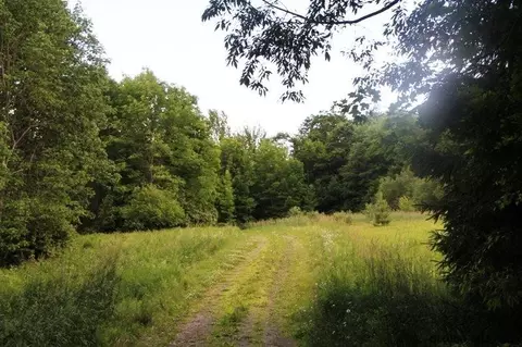 143 Decker Rd, Summit, NY 12175 photo 7