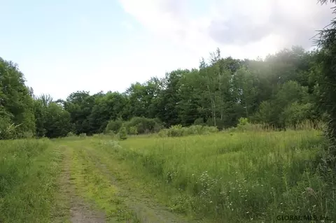 143 Decker Rd, Summit, NY 12175 photo 23