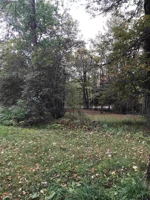 809 Bear Kill Rd, Gilboa, NY 12076 photo 34