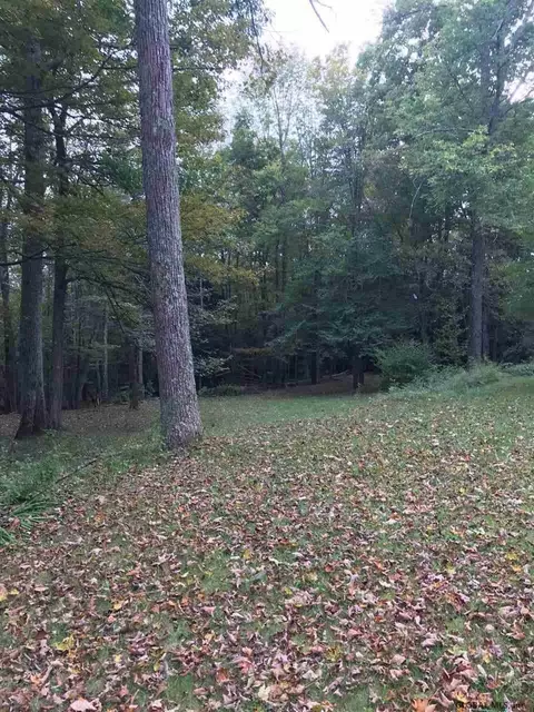 809 Bear Kill Rd, Gilboa, NY 12076 photo 40