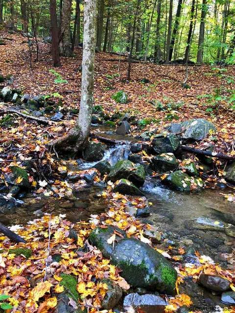 435 Ormsbee Rd, Porter Corners, NY 12859 photo 29