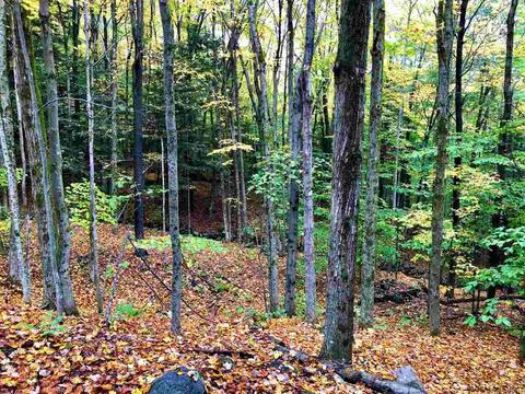 435 Ormsbee Rd, Porter Corners, NY 12859 photo 27