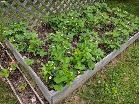 152 Mt Path, Middleburgh, NY 12122 photo 23