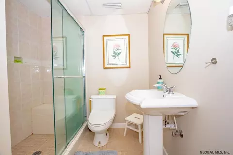 188 Hasgate Dr, Delmar, NY 12054 photo 50