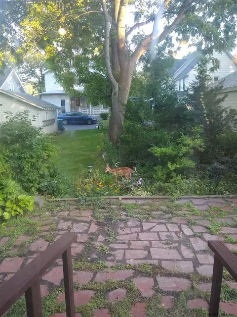 18 Nathaniel Blvd, Delmar, NY 12054 photo 39