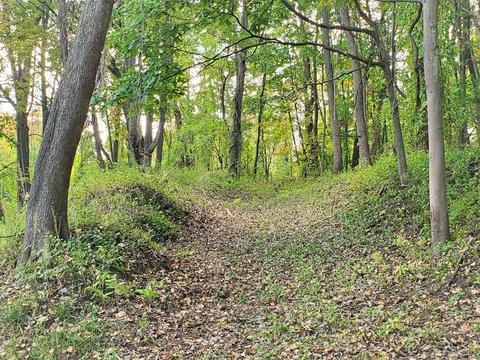 334 Bender Ln, Glenmont, NY 12077 photo 31