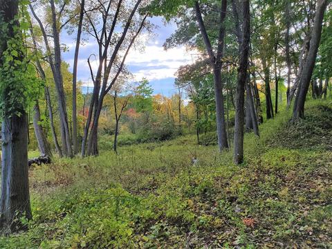 334 Bender Ln, Glenmont, NY 12077 photo 33