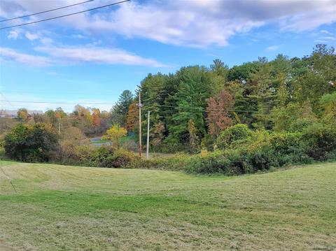 334 Bender Ln, Glenmont, NY 12077 photo 34