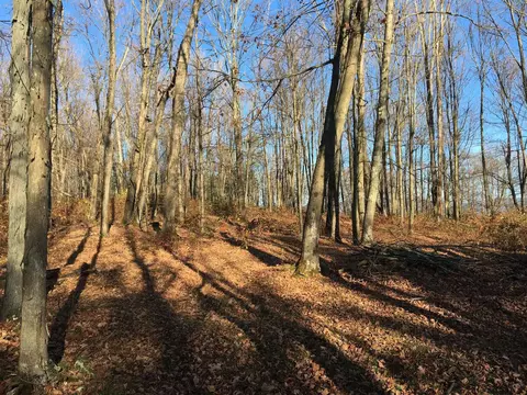 29 Pratt Rd, Hampton, NY 12837 photo 32