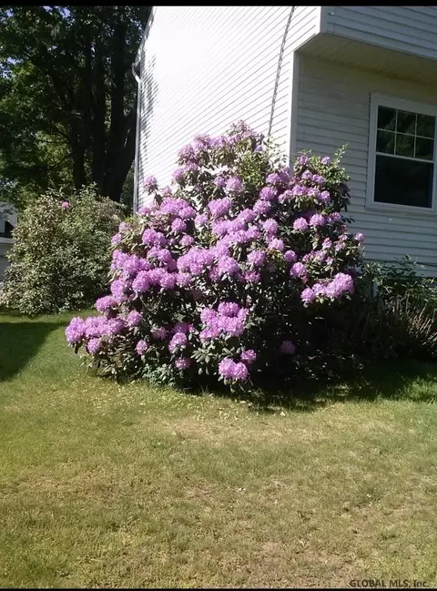 14 Carolanne Dr, Delmar, NY 12054 photo 34