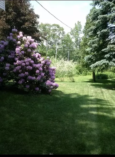 14 Carolanne Dr, Delmar, NY 12054 photo 33