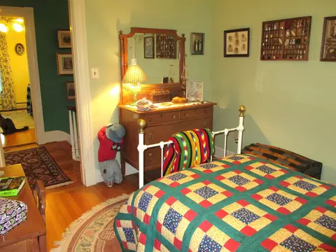 255 Main St, Middleburgh, NY 12122 photo 19