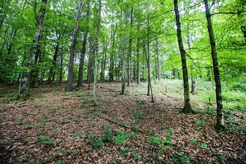 1396 White La, Argyle, NY 12809 photo 25