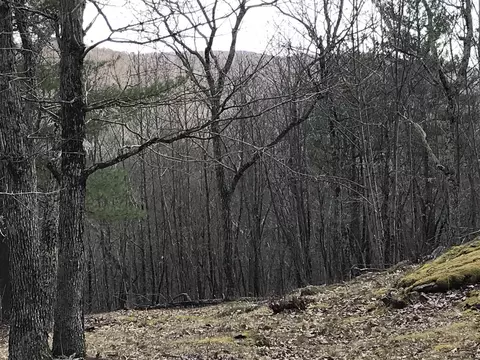 89 Thunder Way, Salem, NY 12865 photo 4
