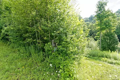69 Miller Rd, Argyle, NY 12809 photo 6