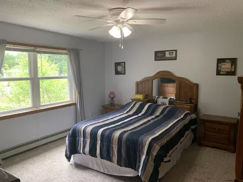 39 Kinderhook Ave, Niverville, NY 12130 photo 15