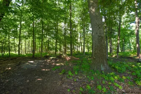 70 Marlboro Rd, Delmar, NY 12054 photo 17