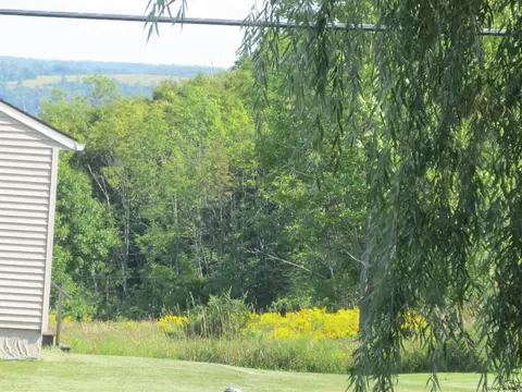 2399 State Route 28, Mohawk, NY 13407 photo 24
