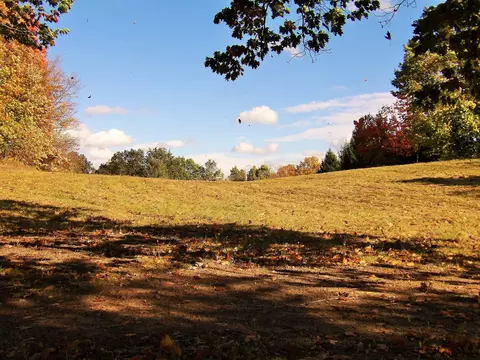13 Spore Rd, Delmar, NY 12054 photo 50