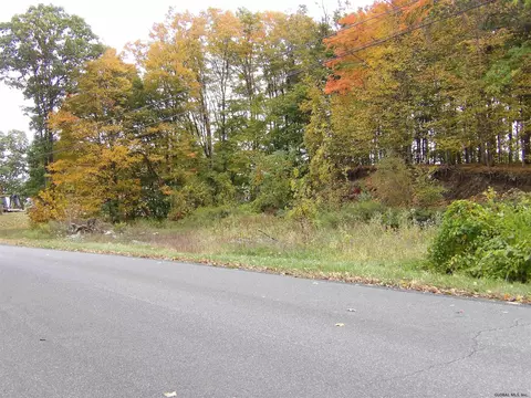 13 Spore Rd, Delmar, NY 12054 photo 52