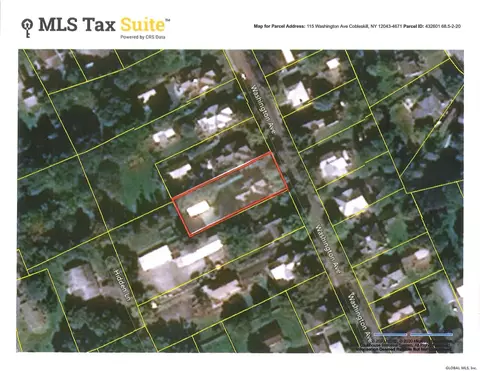 115 Washington Ave, Cobleskill, NY 12043 photo 46