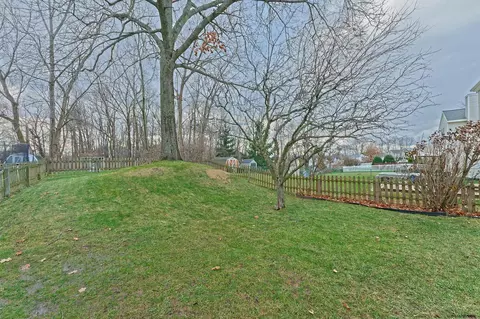 46 Cooks Ct, Waterford, NY 12188 photo 26