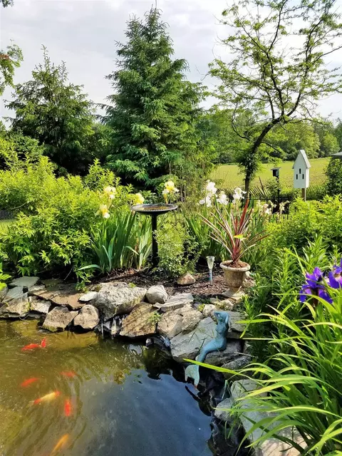 4806 Us Highway 20, Springfield Center, NY 13468 photo 46