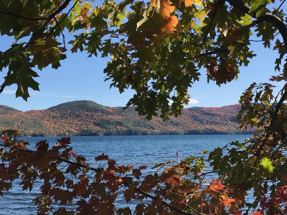  0 Chipwick Ln, Hague, NY 12836 photo 19