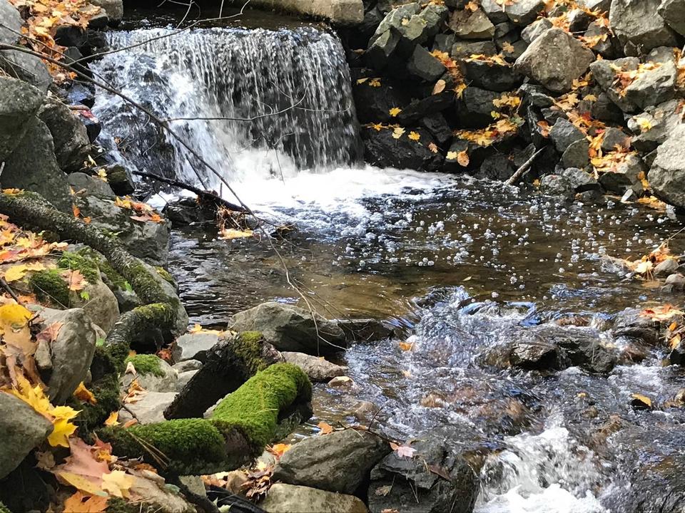  0 Chipwick Ln, Hague, NY 12836 photo 11