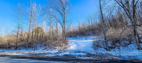 137 Shad Point Rd, Cobleskill, NY 12043 photo 1