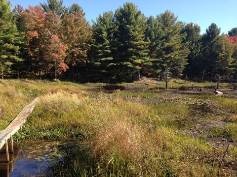 302 New Vermont Rd, Bolton Landing, NY 12814