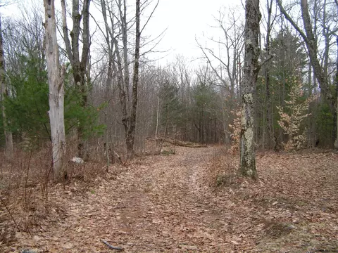 178 Palmer Rd, Schenevus, NY 12155 photo 10