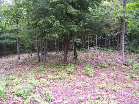 178 Palmer Rd, Schenevus, NY 12155 photo 3