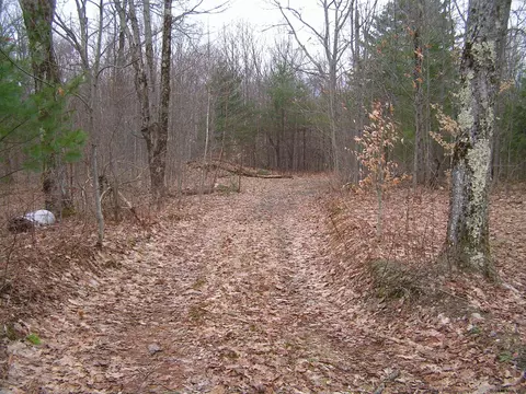 178 Palmer Rd, Schenevus, NY 12155 photo 2