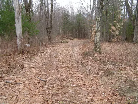 178 Palmer Rd, Schenevus, NY 12155 photo 11