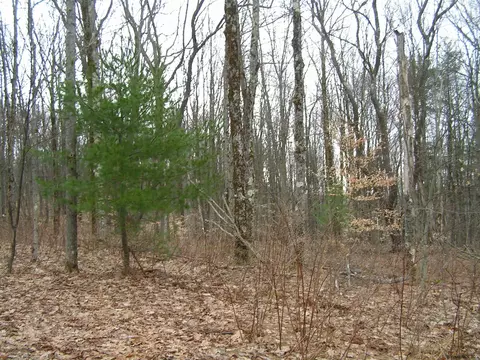178 Palmer Rd, Schenevus, NY 12155 photo 7
