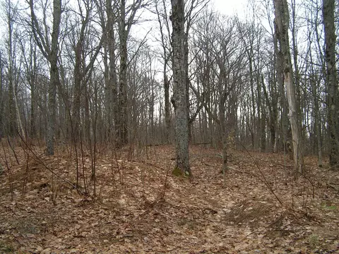 178 Palmer Rd, Schenevus, NY 12155 photo 8