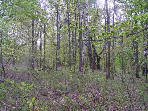 178 Palmer Rd, Schenevus, NY 12155 photo 5