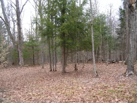 178 Palmer Rd, Schenevus, NY 12155 photo 12