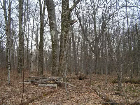 178 Palmer Rd, Schenevus, NY 12155 photo 9