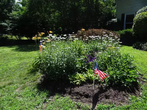 7 Wedge Rd, Delmar, NY 12054 photo 36