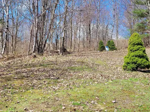 162 Steves Path, Summit, NY 12175 photo 5