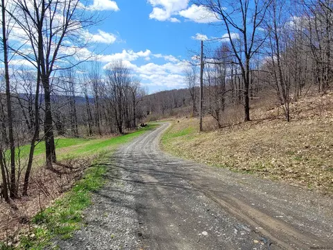 162 Steves Path, Summit, NY 12175 photo 18