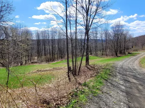 162 Steves Path, Summit, NY 12175 photo 10